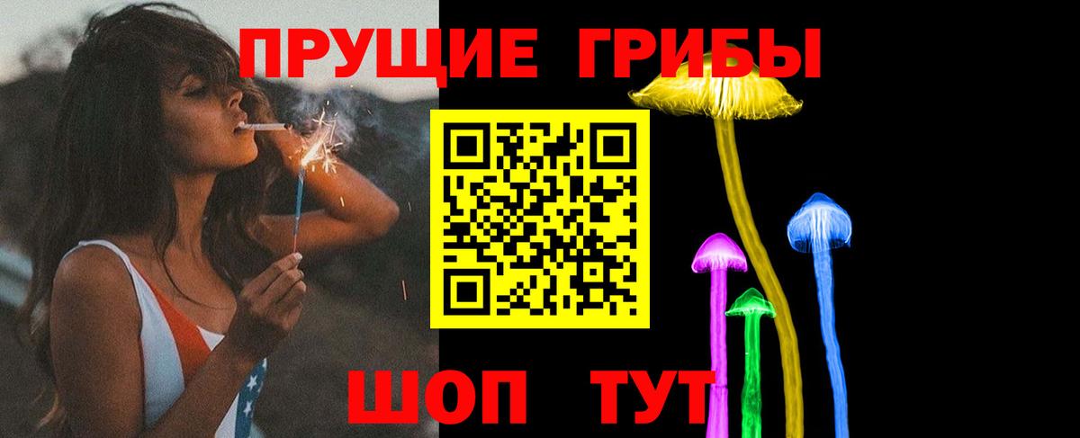 Галлюциногенные грибы прущие грибы  цены наркотик  Галлюциногенные грибы Psilocybine cubensis  Майкоп  Вход с VPN 